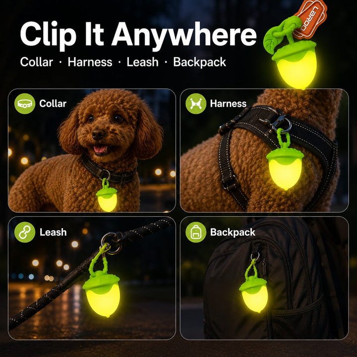 AcornGlow USB-C Rechargeable Pet Safety Light for Night Walks