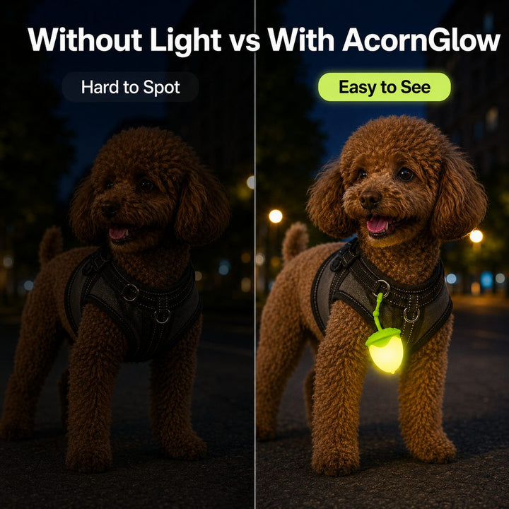 AcornGlow USB-C Rechargeable Pet Safety Light for Night Walks