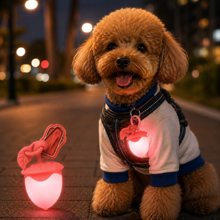 AcornGlow USB-C Rechargeable Pet Safety Light for Night Walks