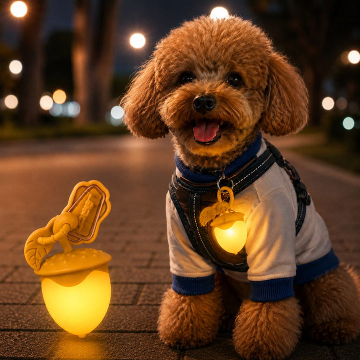 AcornGlow USB-C Rechargeable Pet Safety Light for Night Walks