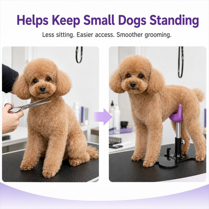 Adjustable Dog Grooming Support Stand for Small Dogs