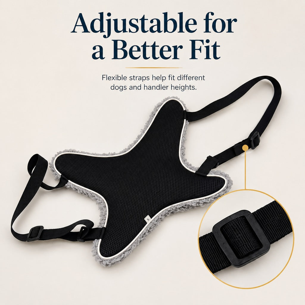 Dog Lift Support Sling for Stairs & Walks