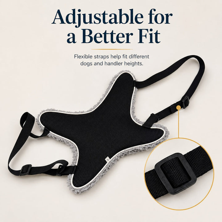 Dog Lift Support Sling for Stairs & Walks