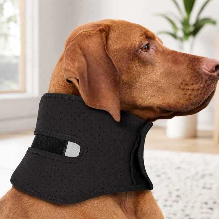 Adjustable Dog Neck Support Brace for At-Home Rest
