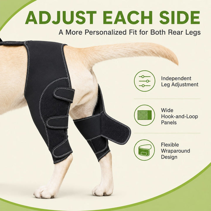 Dual Rear Leg Dog Support Brace with Harness | Walking Stability for Weak Hind Legs