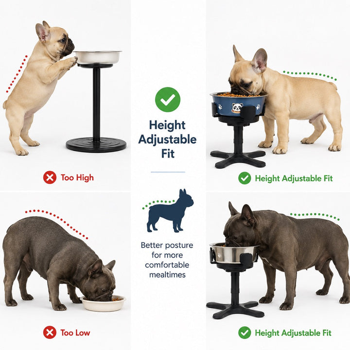 French Bulldog Adjustable Elevated Tilted Dog Bowl for Kitchen Feeding Corners