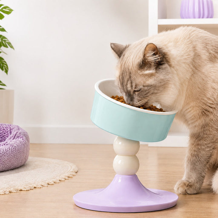Adjustable Elevated Pet Bowl for Cats & Small Dogs | 3 Height Modes for Comfortable Feeding