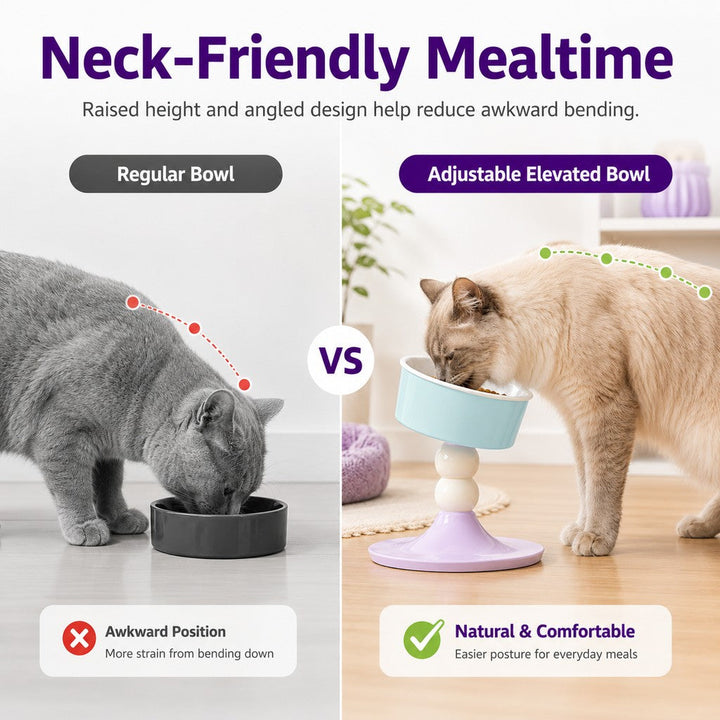 Adjustable Elevated Pet Bowl for Cats & Small Dogs | 3 Height Modes for Comfortable Feeding