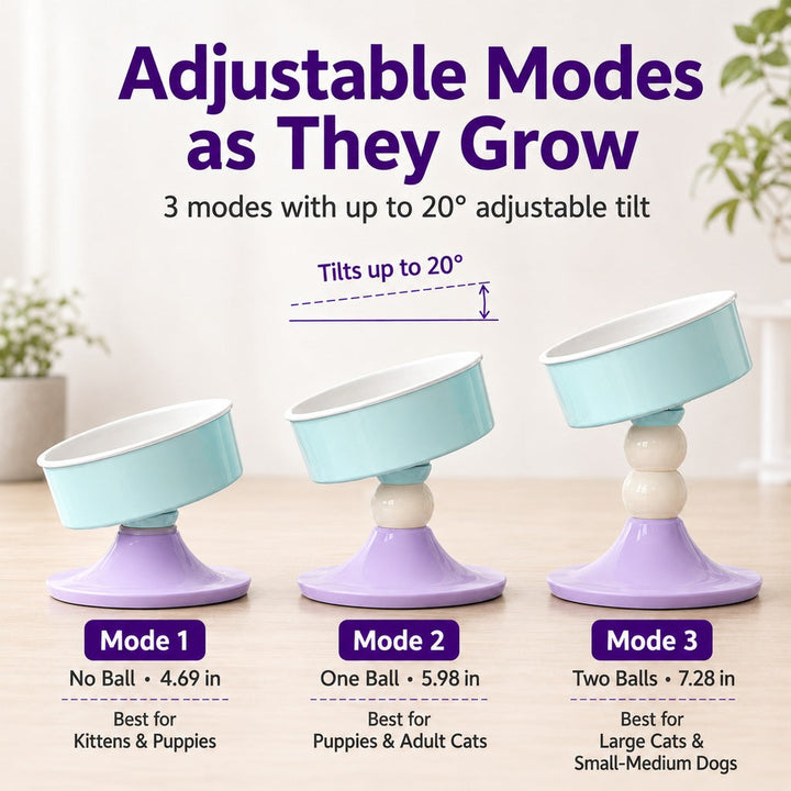 Adjustable Elevated Pet Bowl for Cats & Small Dogs | 3 Height Modes for Comfortable Feeding