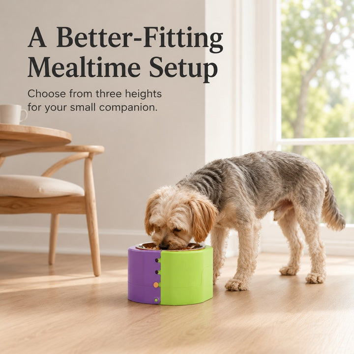 3-Level Adjustable Elevated Slow Feeder Bowl for Cats & Small Dogs