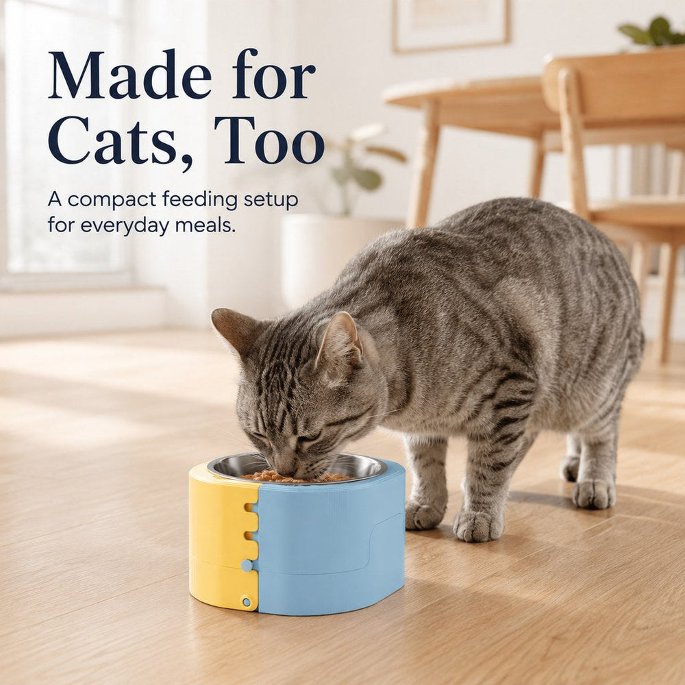 3-Level Adjustable Elevated Slow Feeder Bowl for Cats & Small Dogs