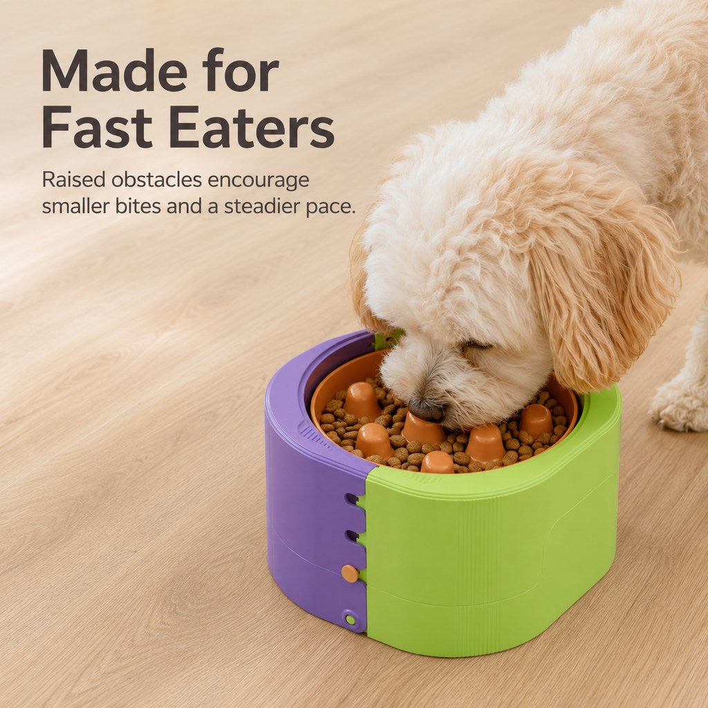 3-Level Adjustable Elevated Slow Feeder Bowl for Cats & Small Dogs