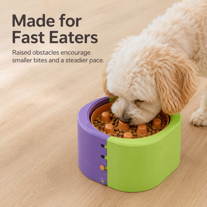 3-Level Adjustable Elevated Slow Feeder Bowl for Cats & Small Dogs