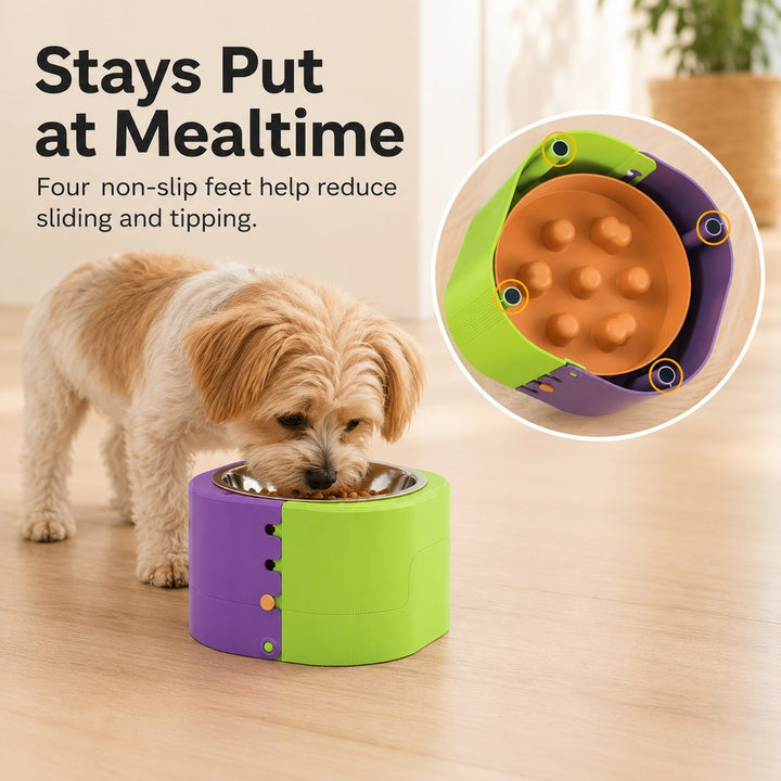 3-Level Adjustable Elevated Slow Feeder Bowl for Cats & Small Dogs