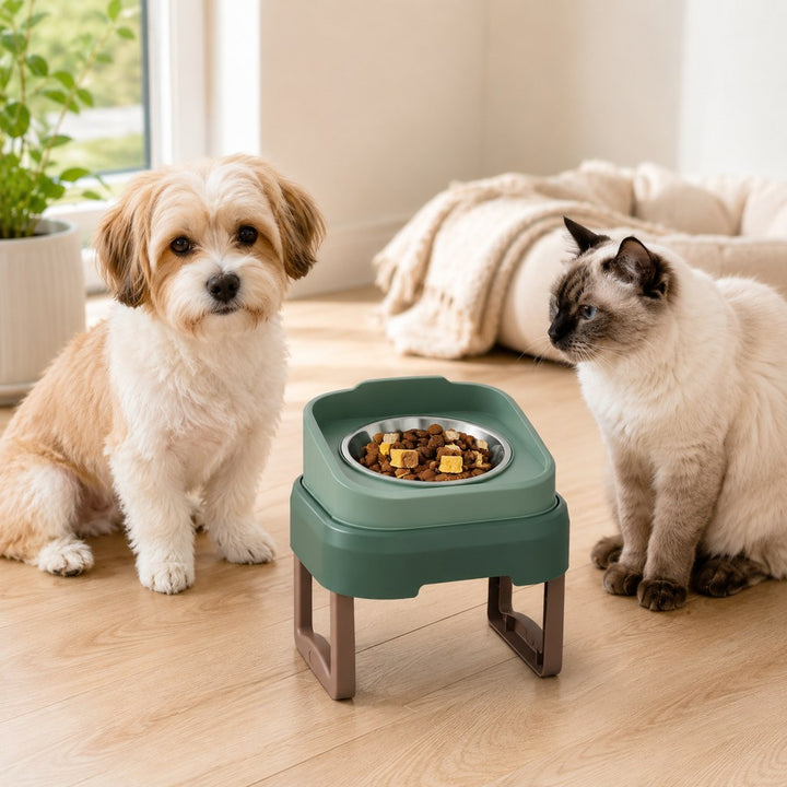 Adjustable Elevated Slow Feeder Pet Bowl for Cats & Small Dogs