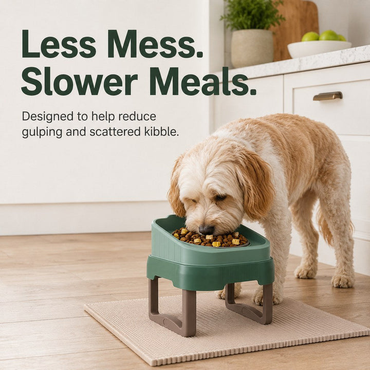 Adjustable Elevated Slow Feeder Pet Bowl for Cats & Small Dogs