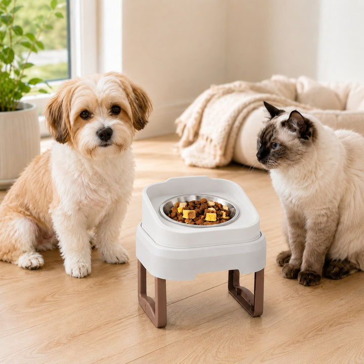 Adjustable Elevated Slow Feeder Pet Bowl for Cats & Small Dogs