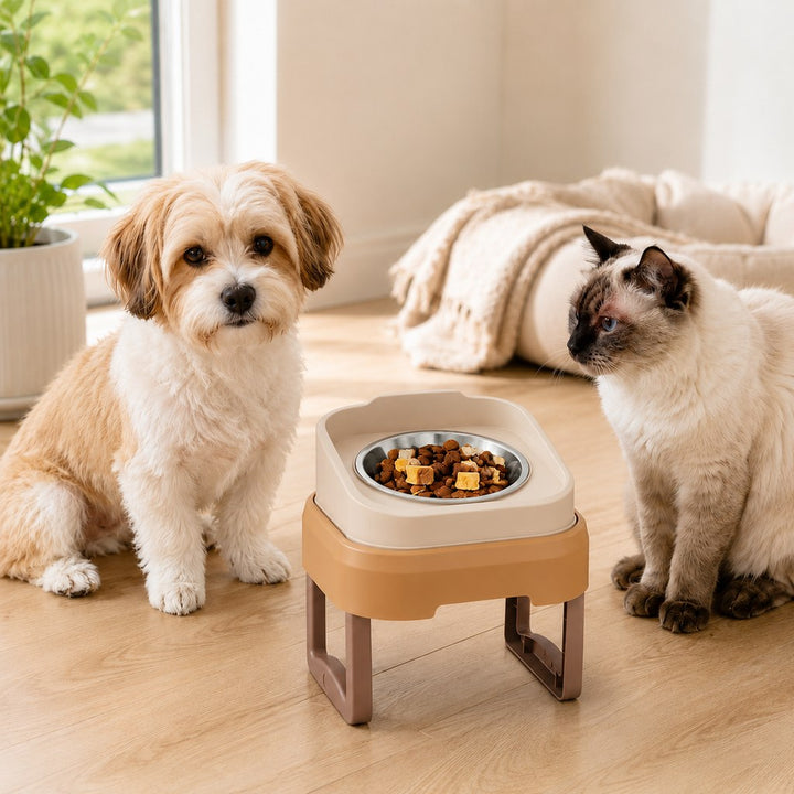 Adjustable Elevated Slow Feeder Pet Bowl for Cats & Small Dogs