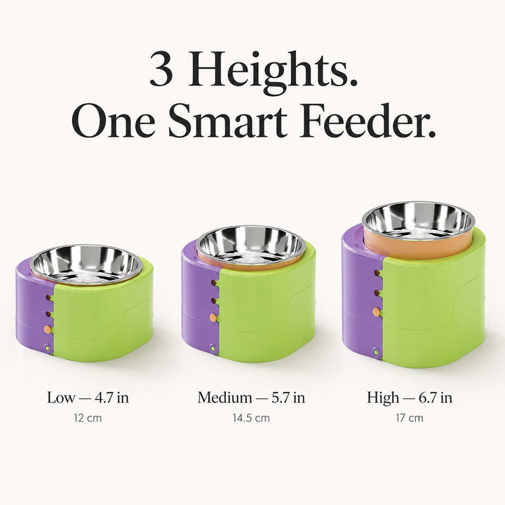 3-Level Adjustable Elevated Slow Feeder Bowl for Cats & Small Dogs