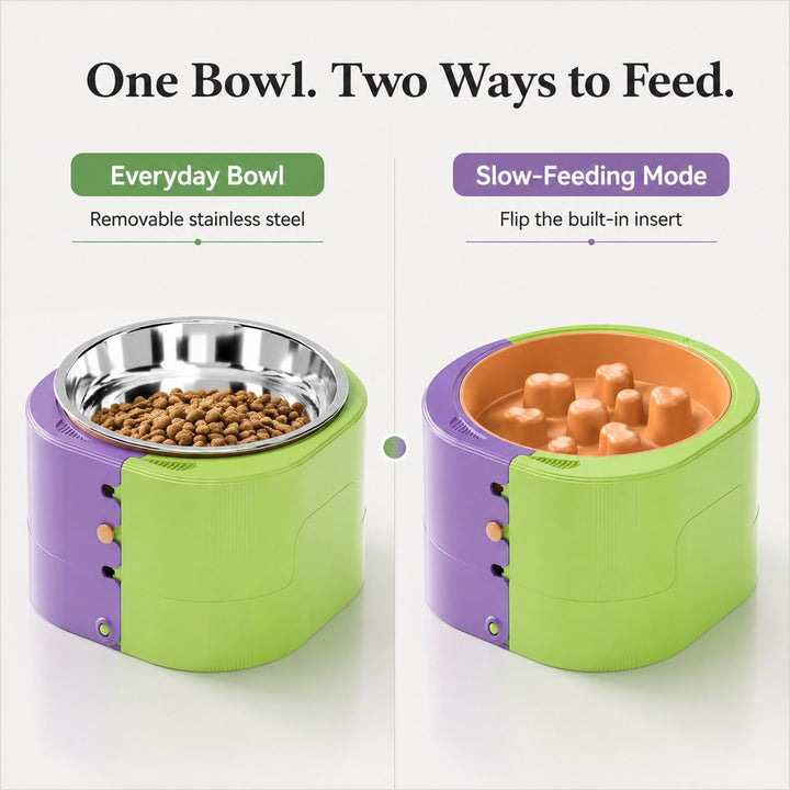 3-Level Adjustable Elevated Slow Feeder Bowl for Cats & Small Dogs
