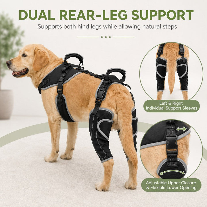 Full-Body Dog Lift Harness with Dual Rear-Leg Support | Easier Standing, Stairs & Car Entry