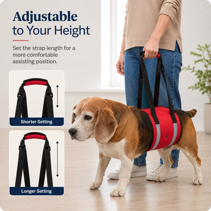 Reflective Dog Lift Support Sling