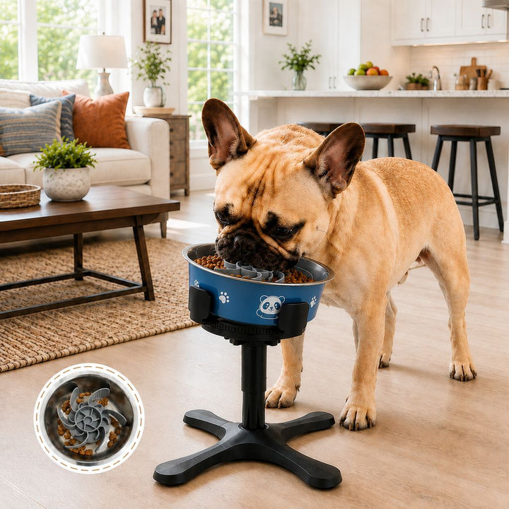 French Bulldog Adjustable Elevated Tilted Dog Bowl for Kitchen Feeding Corners