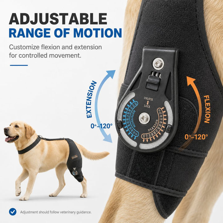 Adjustable Hinged Dog Knee Brace for Daily Walks | Rear Leg Support for Unsteady Steps