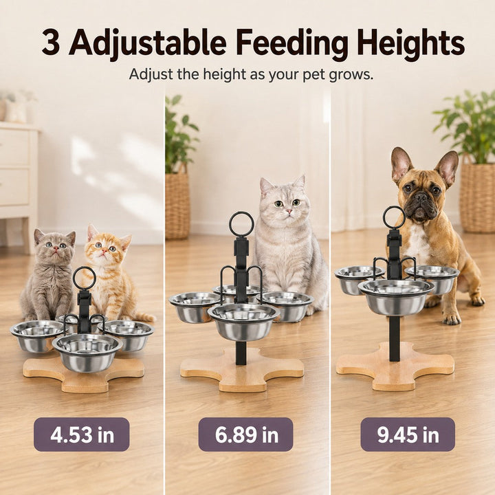 4-Bowl Adjustable Elevated Pet Feeder for Cats & Small Dogs | Organized Food and Water Station