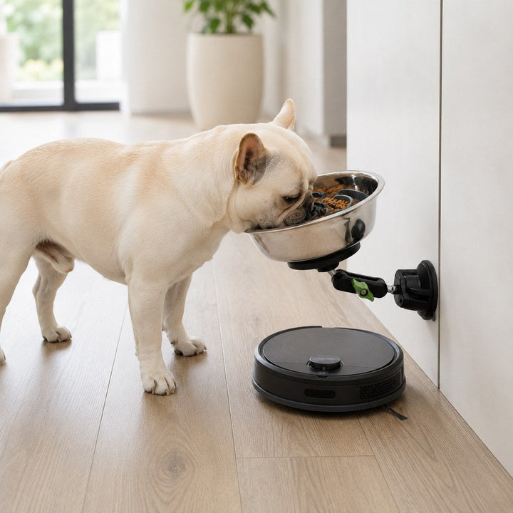 Adjustable Suction-Mount Slow Feeder Bowl for French Bulldogs, Cats & Small-to-Medium Dogs