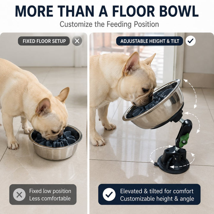 Adjustable Suction-Mount Slow Feeder Bowl for French Bulldogs, Cats & Small-to-Medium Dogs