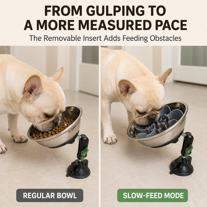 Adjustable Suction-Mount Slow Feeder Bowl for French Bulldogs, Cats & Small-to-Medium Dogs