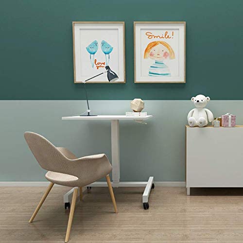 Airlift Sit Stand Desk