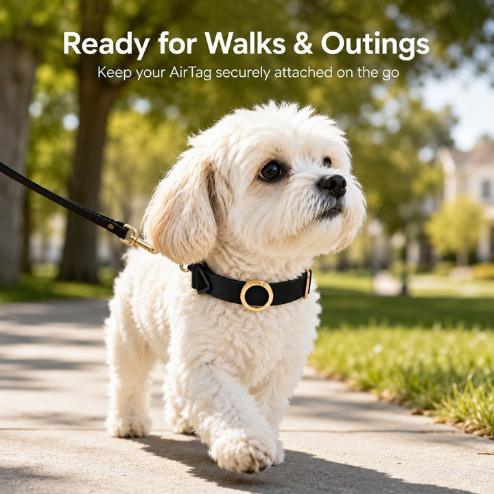 AirTag-Compatible Pet Collar Holder for Cats & Small Dogs