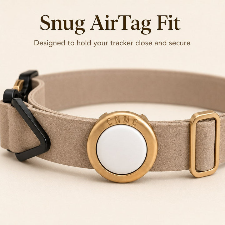 AirTag-Compatible Pet Collar Holder for Cats & Small Dogs