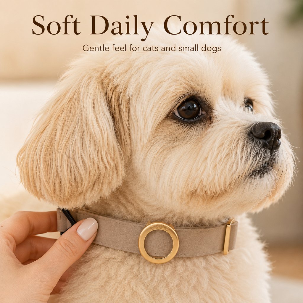 AirTag-Compatible Pet Collar Holder for Cats & Small Dogs