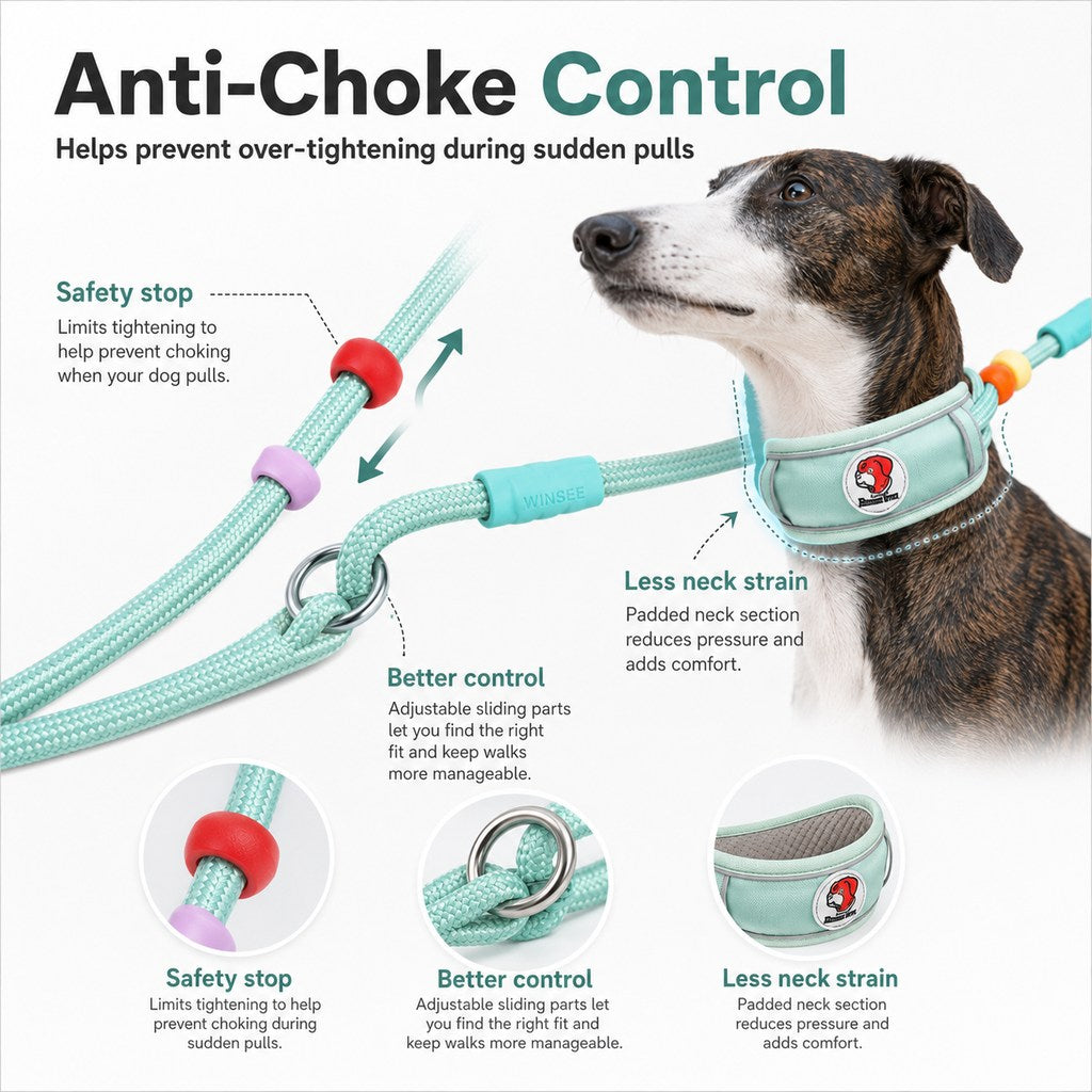Anti-Choke Dog Leash for Everyday Walks | Padded Neck Protection & Better Control for Pullers