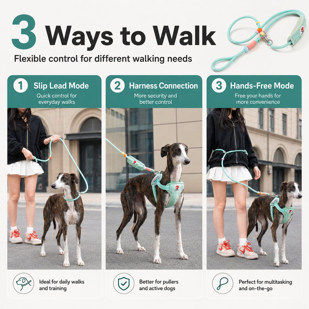 Anti-Choke Dog Leash for Everyday Walks | Padded Neck Protection & Better Control for Pullers