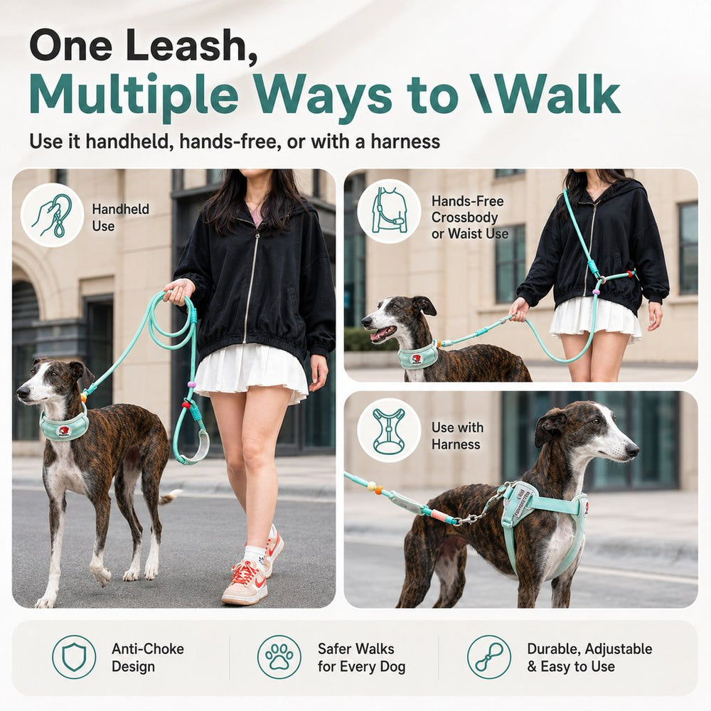 Anti-Choke Dog Leash for Everyday Walks | Padded Neck Protection & Better Control for Pullers