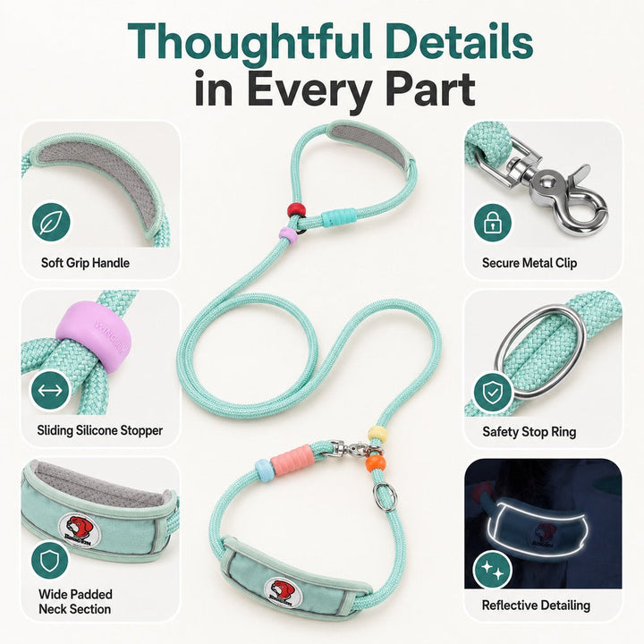 Anti-Choke Dog Leash for Everyday Walks | Padded Neck Protection & Better Control for Pullers