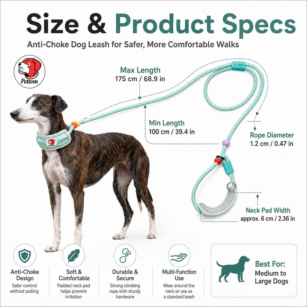 Anti-Choke Dog Leash for Everyday Walks | Padded Neck Protection & Better Control for Pullers