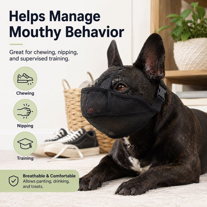 French Bulldog Breathable Mesh Muzzle for Walks, Grooming & Scavenging Control