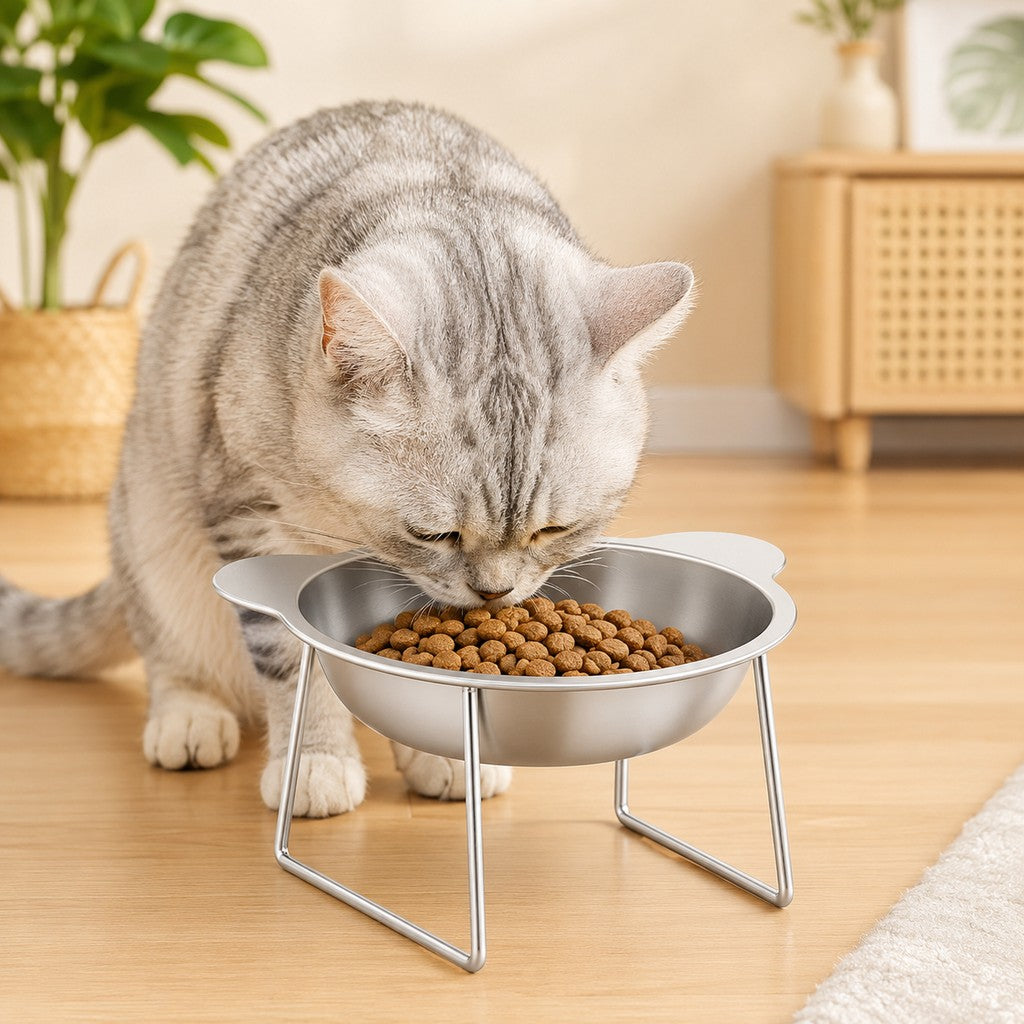 Elevated 304 Stainless Steel Pet Bowl with Stand for Cats & Dogs