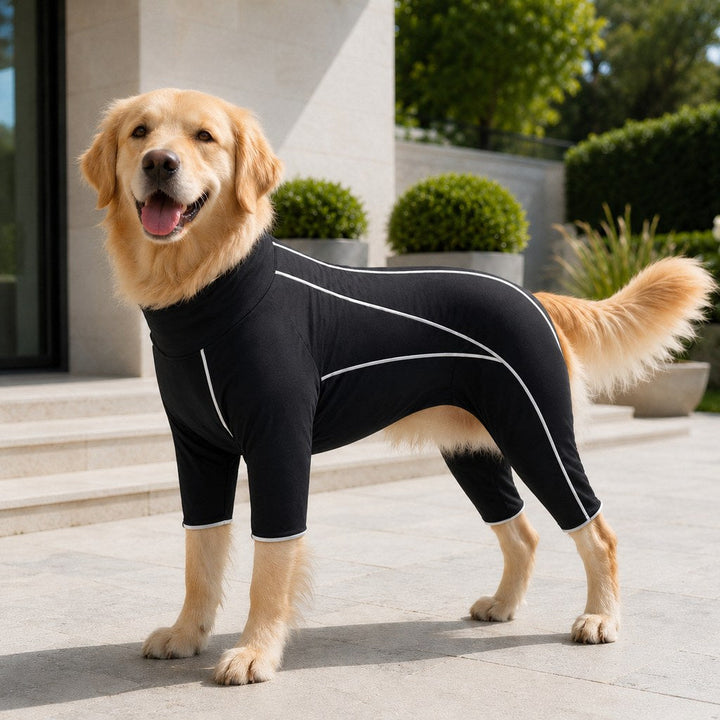 Four-Leg Full-Body Dog Jumpsuit for Home & Outdoor Wear