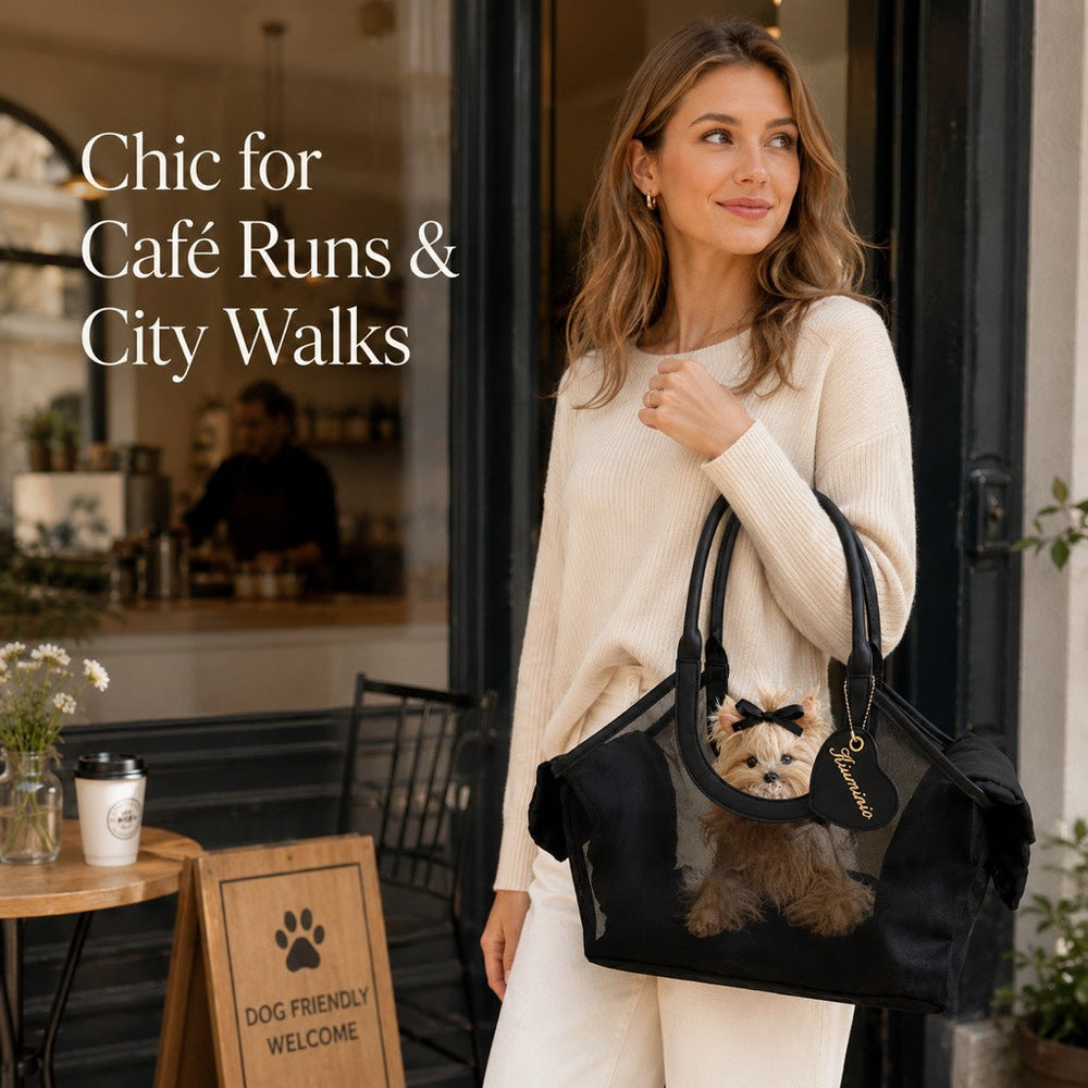 Chic Mesh Pet Carrier Tote for Cafe Runs & Vet Visits | Breathable Small Dog & Cat Travel Bag