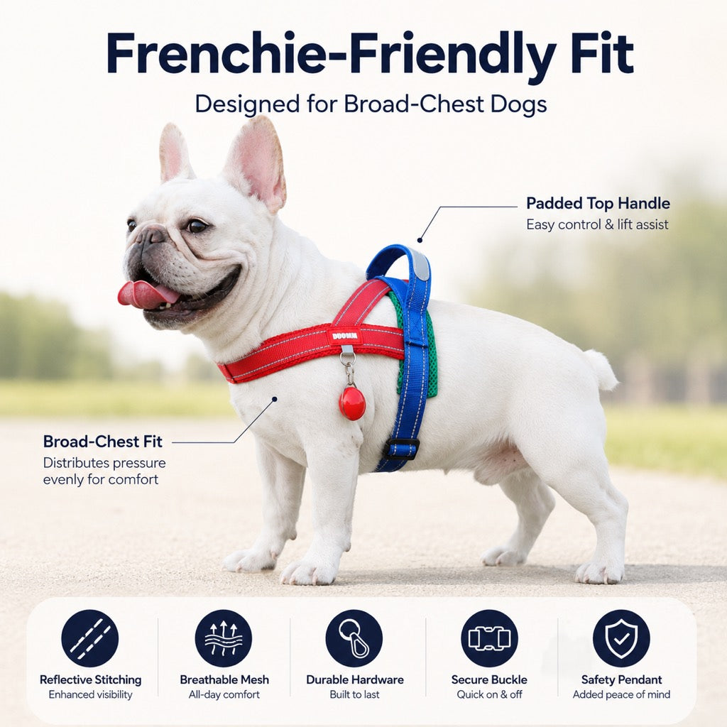 No-Choke French Bulldog Harness & Leash Set for Daily Walks