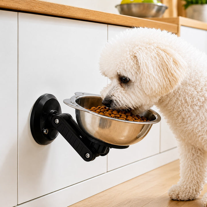 No-Drill Wall-Mounted Pet Bowl for Small Dogs & Cats | Elevated Feeding for Cleaner Floors