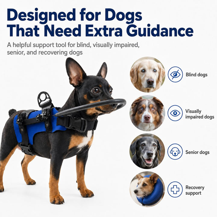 Adjustable Dog Bumper Ring Harness for Safer Home Walking