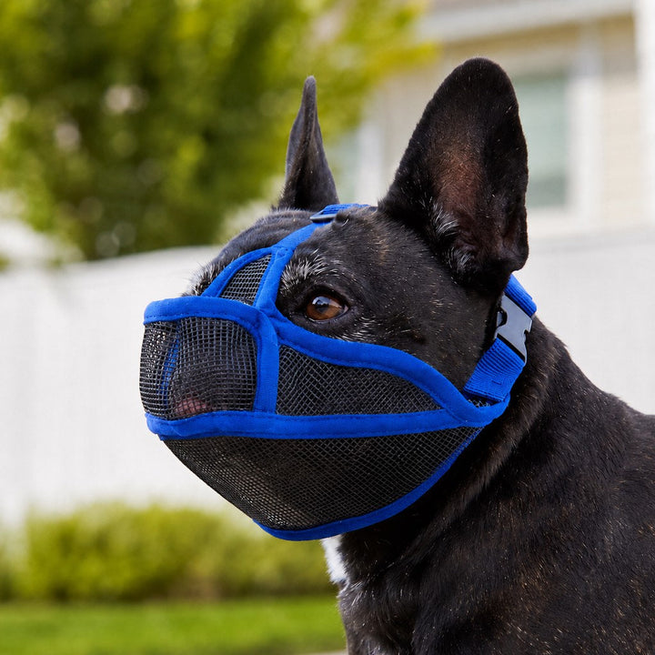 French Bulldog Breathable Mesh Muzzle for Walks, Grooming & Scavenging Control
