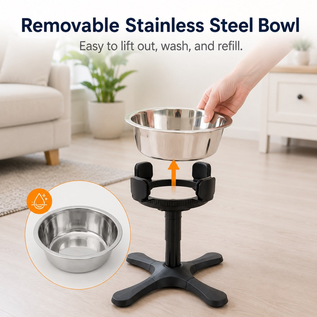 French Bulldog Adjustable Elevated Tilted Dog Bowl for Kitchen Feeding Corners
